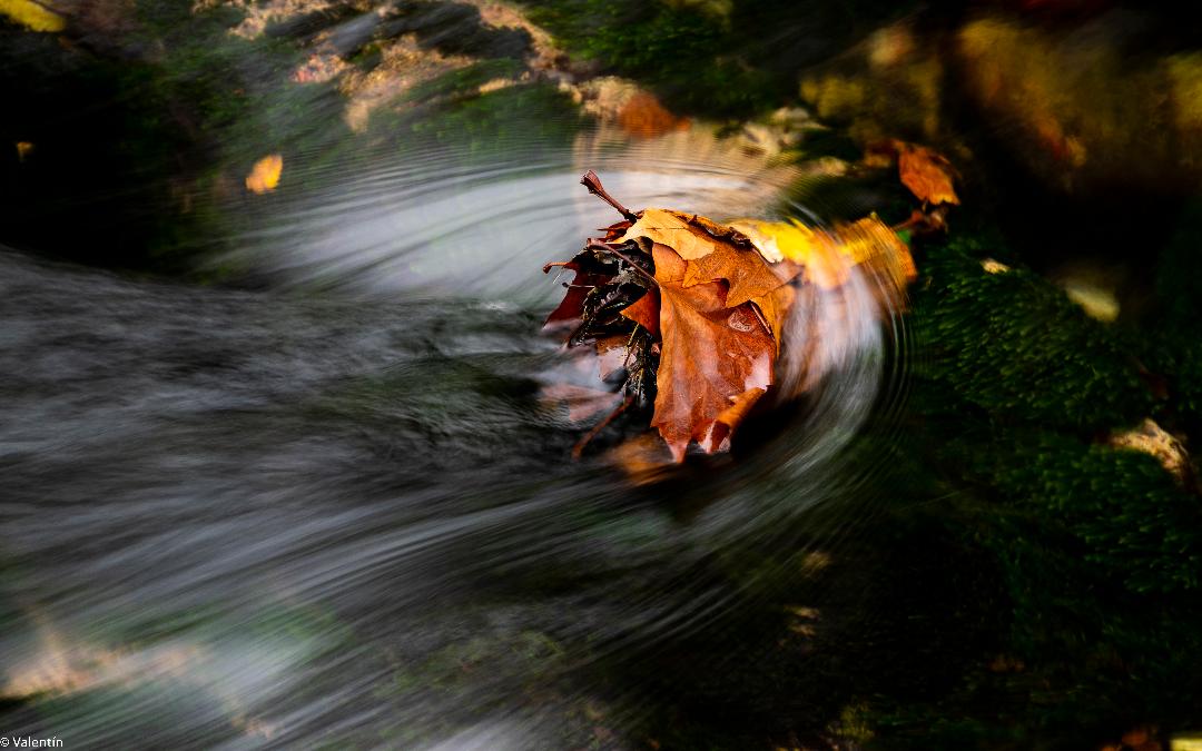 LLANES | La Borbolla... sensación de agua, de bosque, de siglos y de silencio... DESCUBRE!!